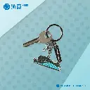 Meeet Hong Kong - HKIA Keychain