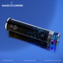 MEEET x Naked Inc. - 萬花筒 (海洋)