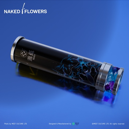[XNK-1006] MEEET x Naked Inc. - 萬花筒 (海洋)