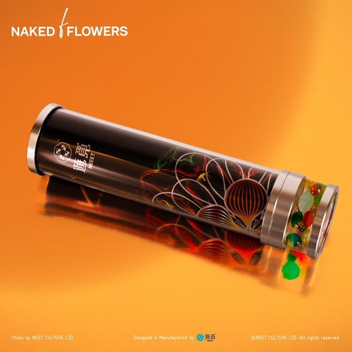 [XNK-1007] MEEET x Naked Inc. - 萬花筒 (鳳凰木)